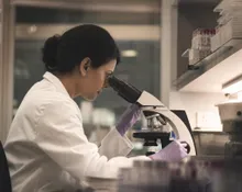 A scientist reviewing laboratory samples